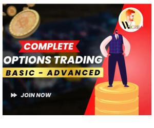Wealth Secret Pure Option Trading (Basic to Advance) with Recording of 4 Live Classes